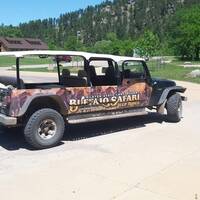 Buffalo Safari Jeep Tour.