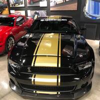 Shelby GT-350 H