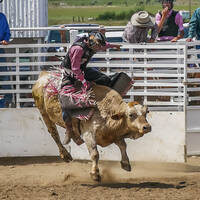 Richfield rodeo
