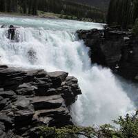 Athabasca falls (Jasper NP)