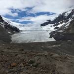 Glacier Icefield Oarkway