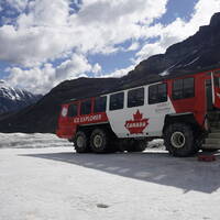 Icefield tour