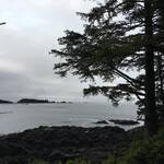Ucluelet Wild Pacific Trail