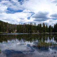 Rocky Mountain - Nympf Lake