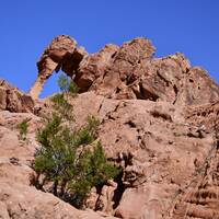 Dag 4 - Valley of Fire State Park
