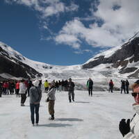 Athabasca gletscher