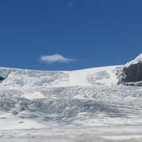 Athabasca gletscher