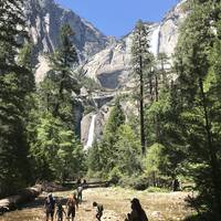 Dag 2: Yosemite National Park - Zaterdag 13 juli