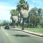 Dag 15: Palm Mountain Springs - Los Angeles - Donderdag 25 juli
