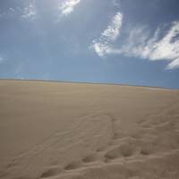 Bruneau dunes