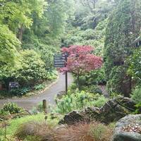 Botanische tuin Wellington..