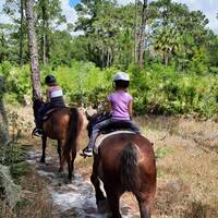Paardentocht in Little Manatee river state park