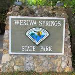 Wekiwa spring state park