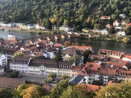 Uitzicht_op_Heidelberg_-1.jpg